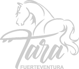 Granja Tara Fuerteventura - La granja de caballos para la atención plena y la comunicación