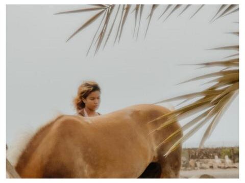 13 Tara, der Pferdehof für Achtsamkeit & Kommunikation