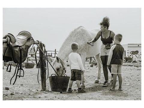 18 Tara, la granja de caballos para la atención plena y la comunicación