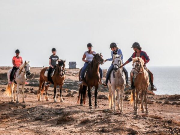 19taratour1 Tara, la granja de caballos para la atención plena y la comunicación: montar a caballo