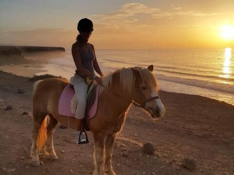 21 Tara, la granja de caballos para la atención plena y la comunicación