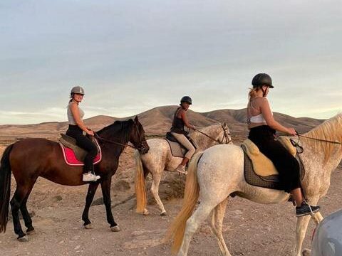 23 Tara, la granja de caballos para la atención plena y la comunicación