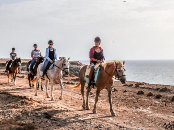 24taratour1 Tara, la granja de caballos para la atención plena y la comunicación: montar a caballo