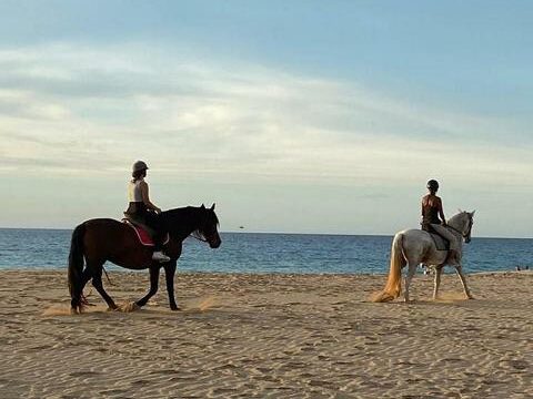 25 Tara, la granja de caballos para la atención plena y la comunicación