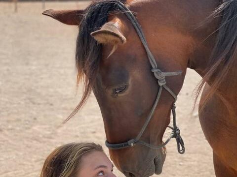 26 Tara, la granja de caballos para la atención plena y la comunicación