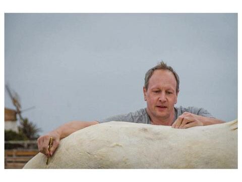 29 Tara, la granja de caballos para la atención plena y la comunicación