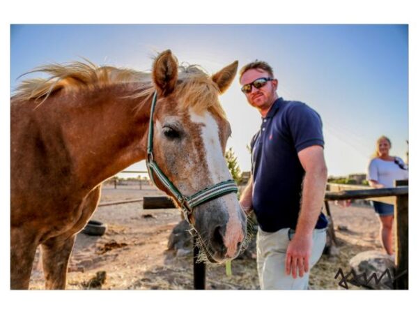 34 Tara, la granja de caballos para la atención plena y la comunicación: montar a caballo