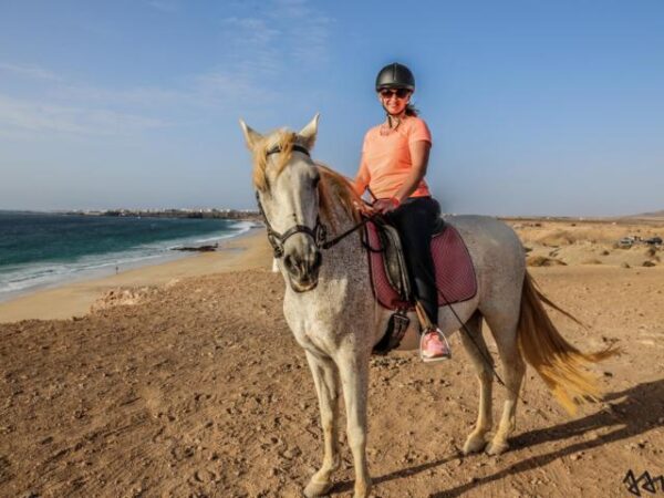 48taratour1 Tara, la granja de caballos para la atención plena y la comunicación: montar a caballo