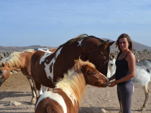 Tara, la granja de caballos para la atención plena y la comunicación: camp