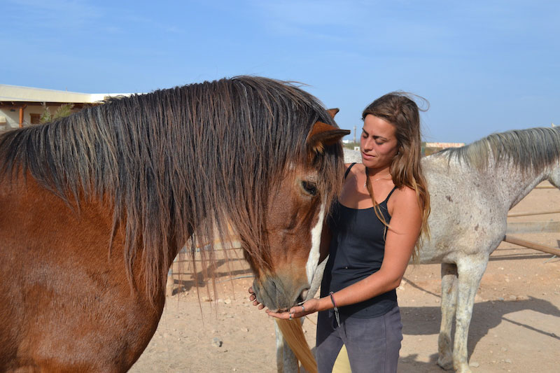 Achtsamkeitstraining auf Tara Fuerteventura